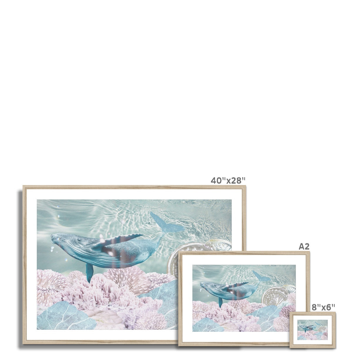 Emissary Framed & Mounted Print - Starseed Designs Inc.