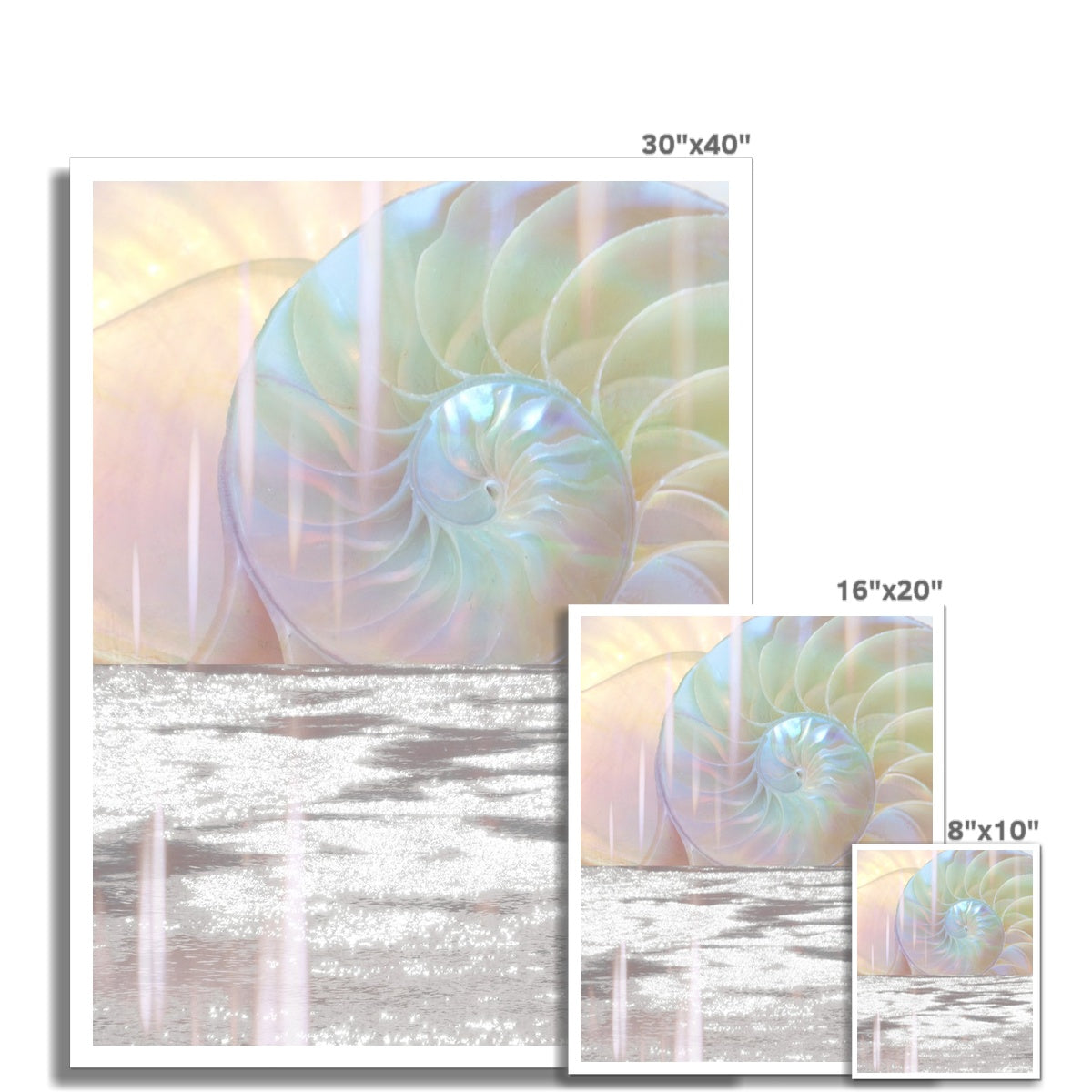 Divine Spiral Fine Art Print - Starseed Designs Inc.