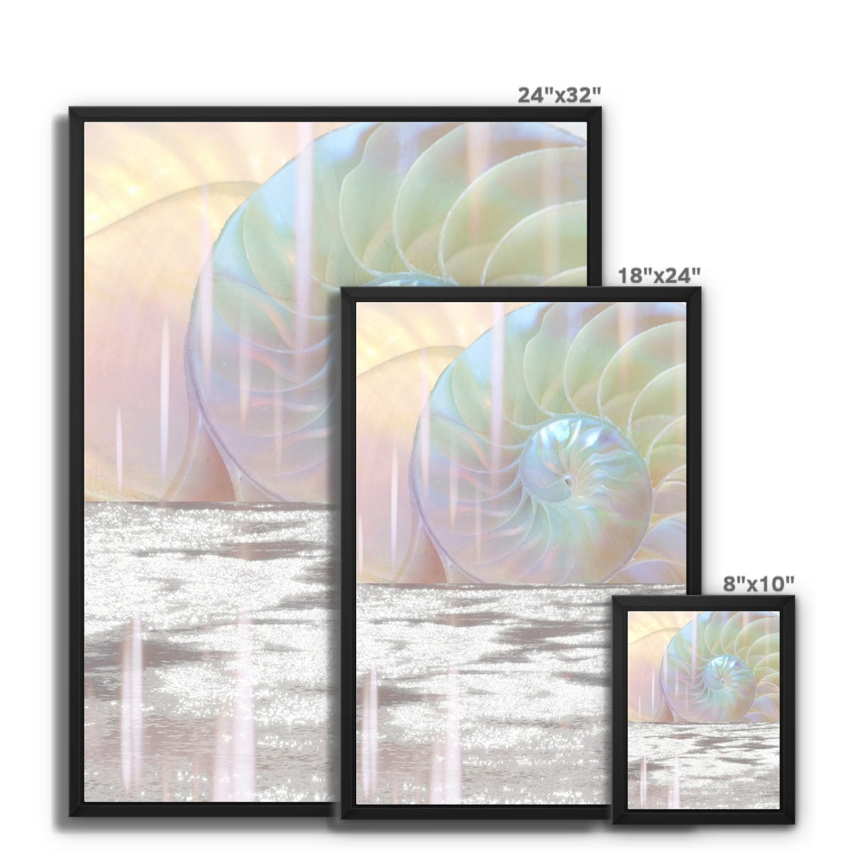 Divine Spiral Framed Canvas - Starseed Designs Inc.