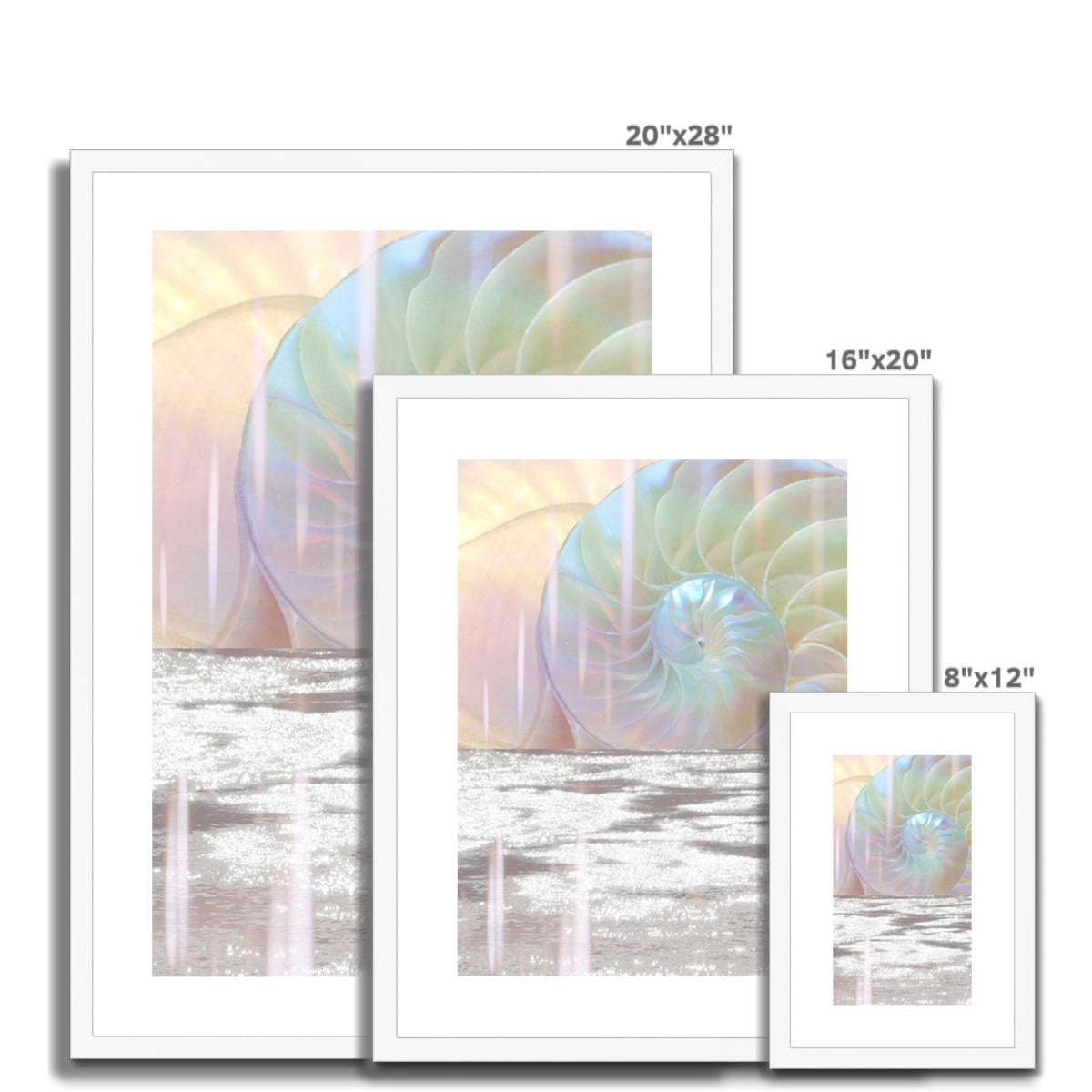 Divine Spiral Framed & Mounted Print - Starseed Designs Inc.